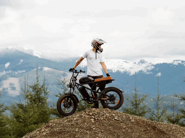 Freego Flash F3 Pro Max - Motor