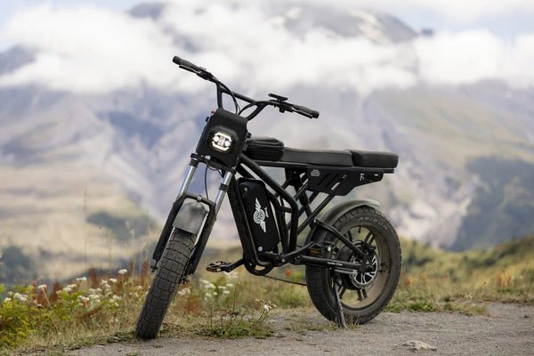 Freego F2 Pro Max - Motor