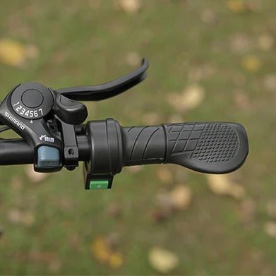 HappyRun G60 Pro - Throttle