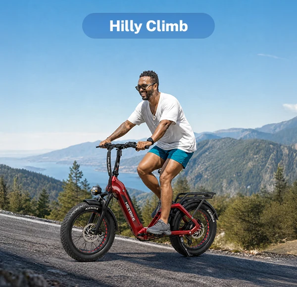 Heybike Ranger 3.0 Pro - Hill