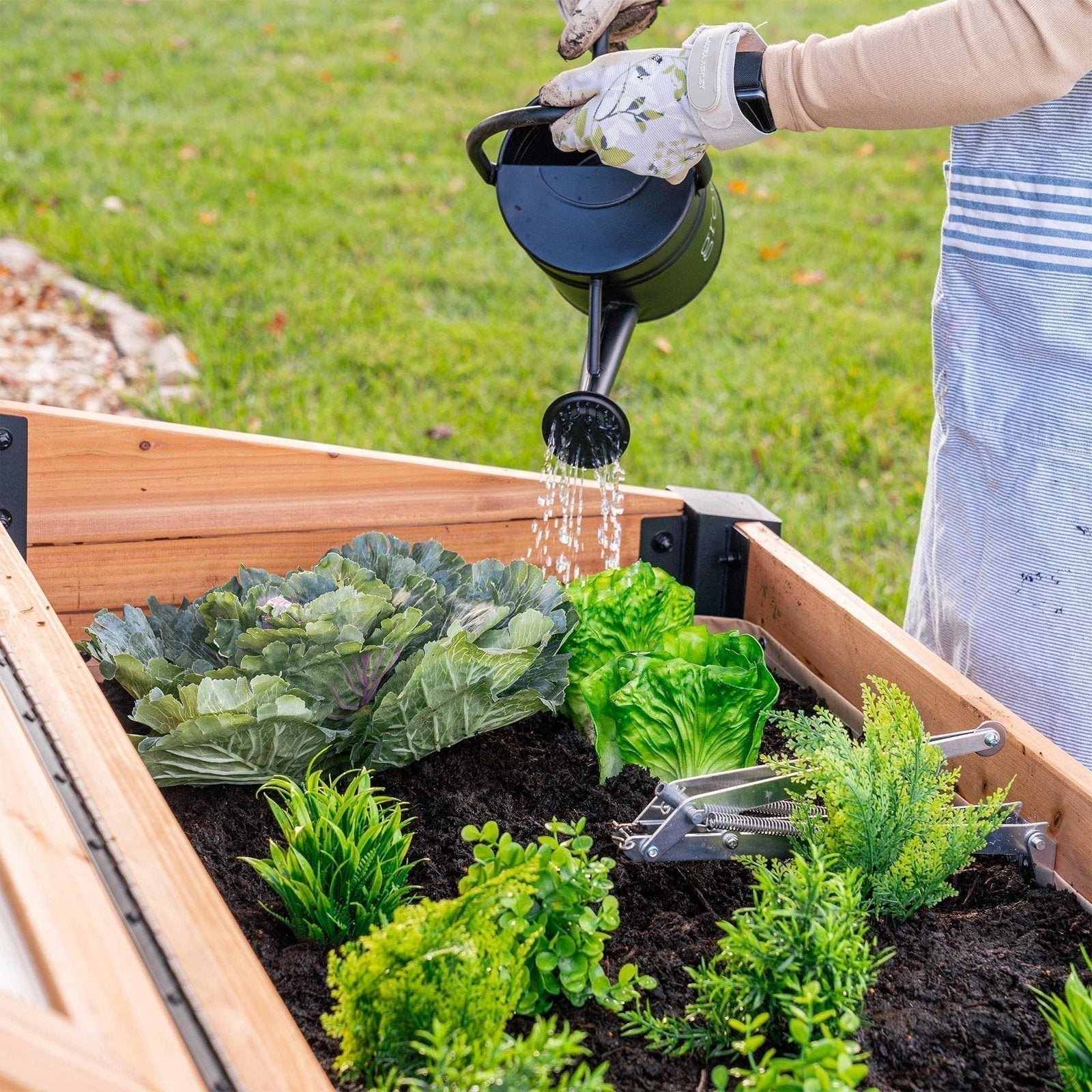 Aggie Cold Frame Box - Image 12