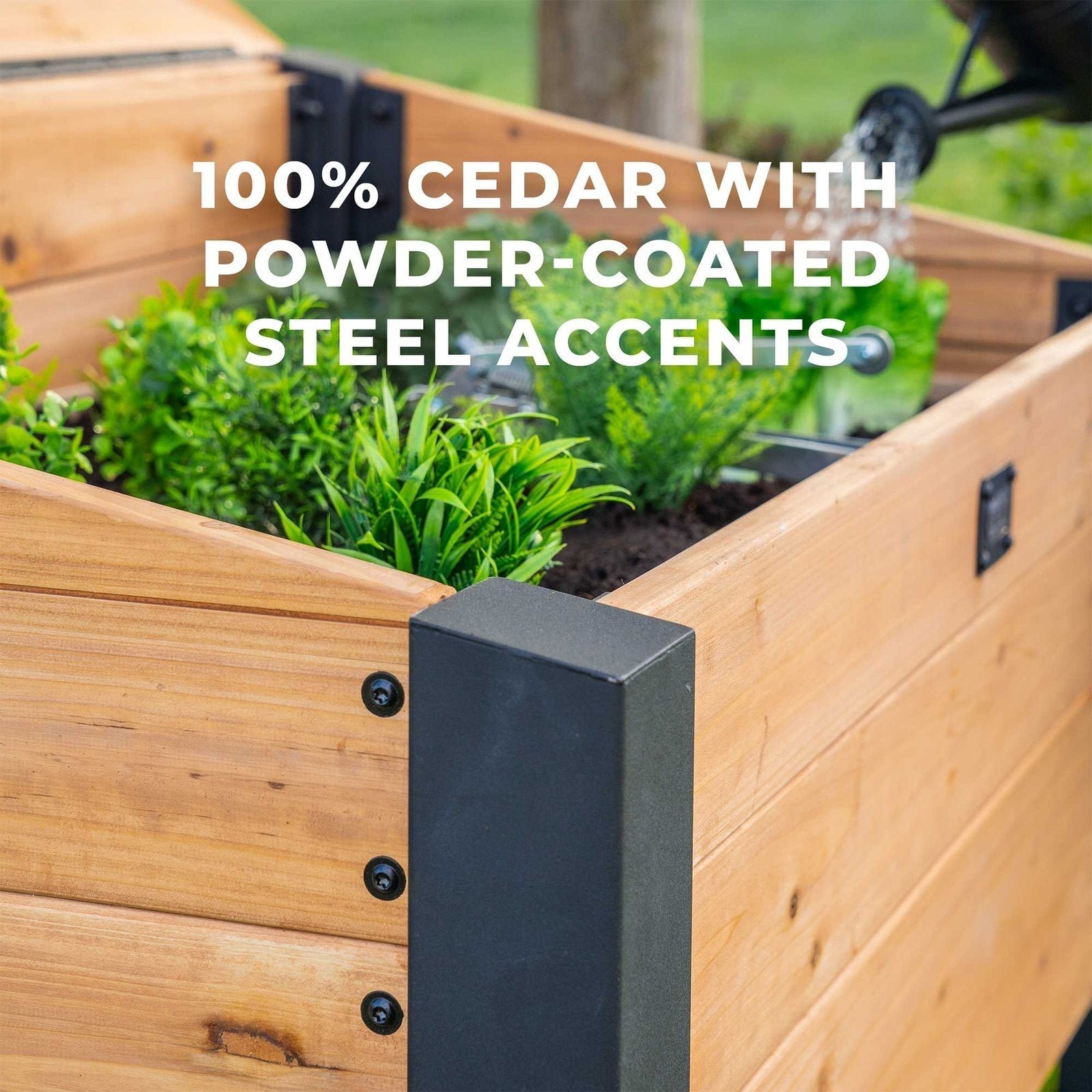 Aggie Cold Frame Box - Image 4
