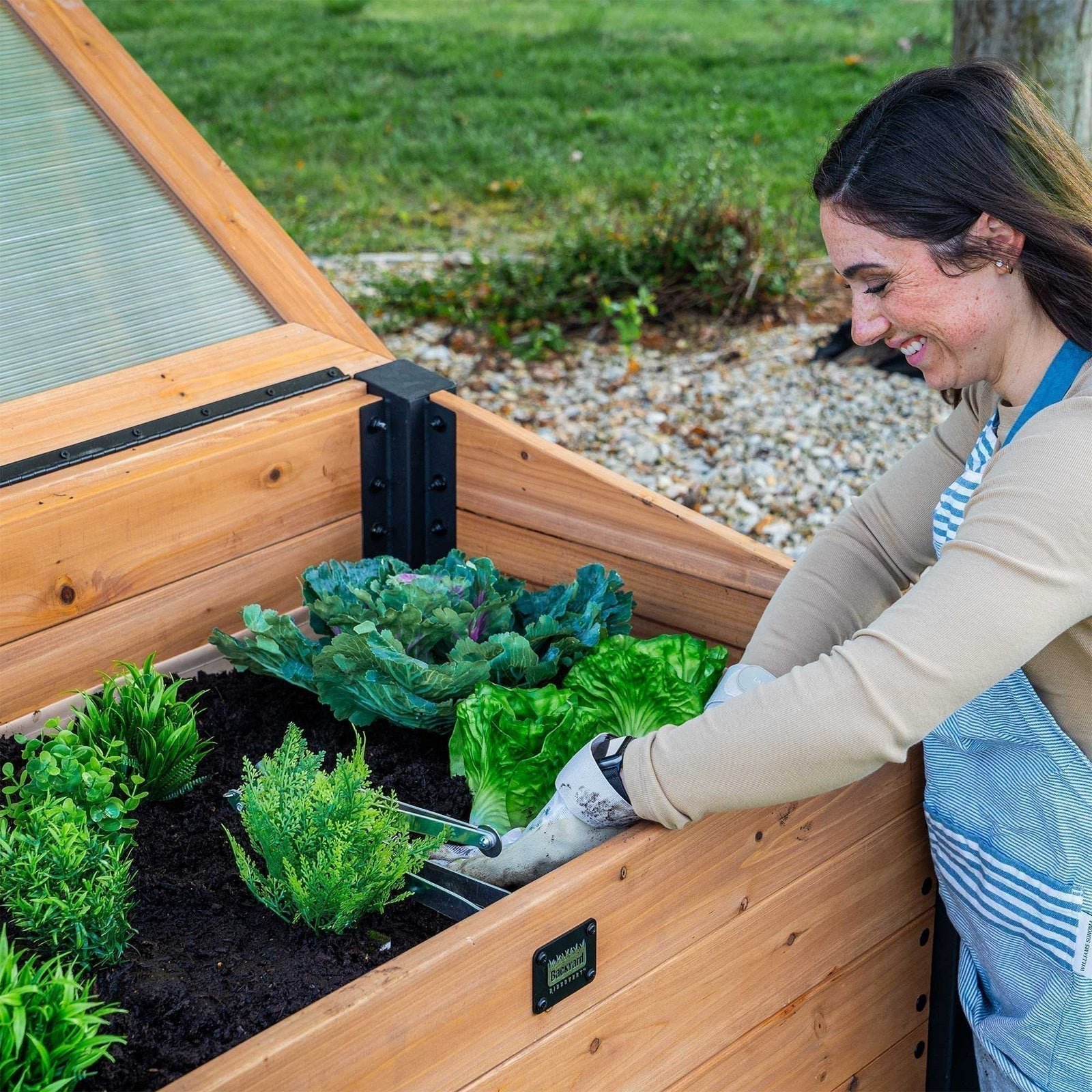 Aggie Cold Frame Box - Image 9