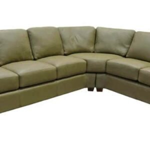 Albany Leather Sectional