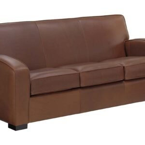 Hayden 81 Inch Contemporary Leather Sofa