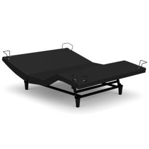 Reverie R650 Dual-Tilt Adjustable Power Base